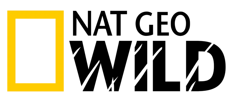 abonnement iptv 12 mois premium avec chaînes HD 4K et VOD